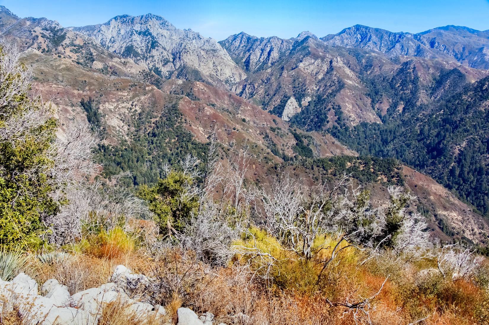 Views from Manuel Peak Trail in Pfeiffer Big Sur State Park, Monterey County, California, USA