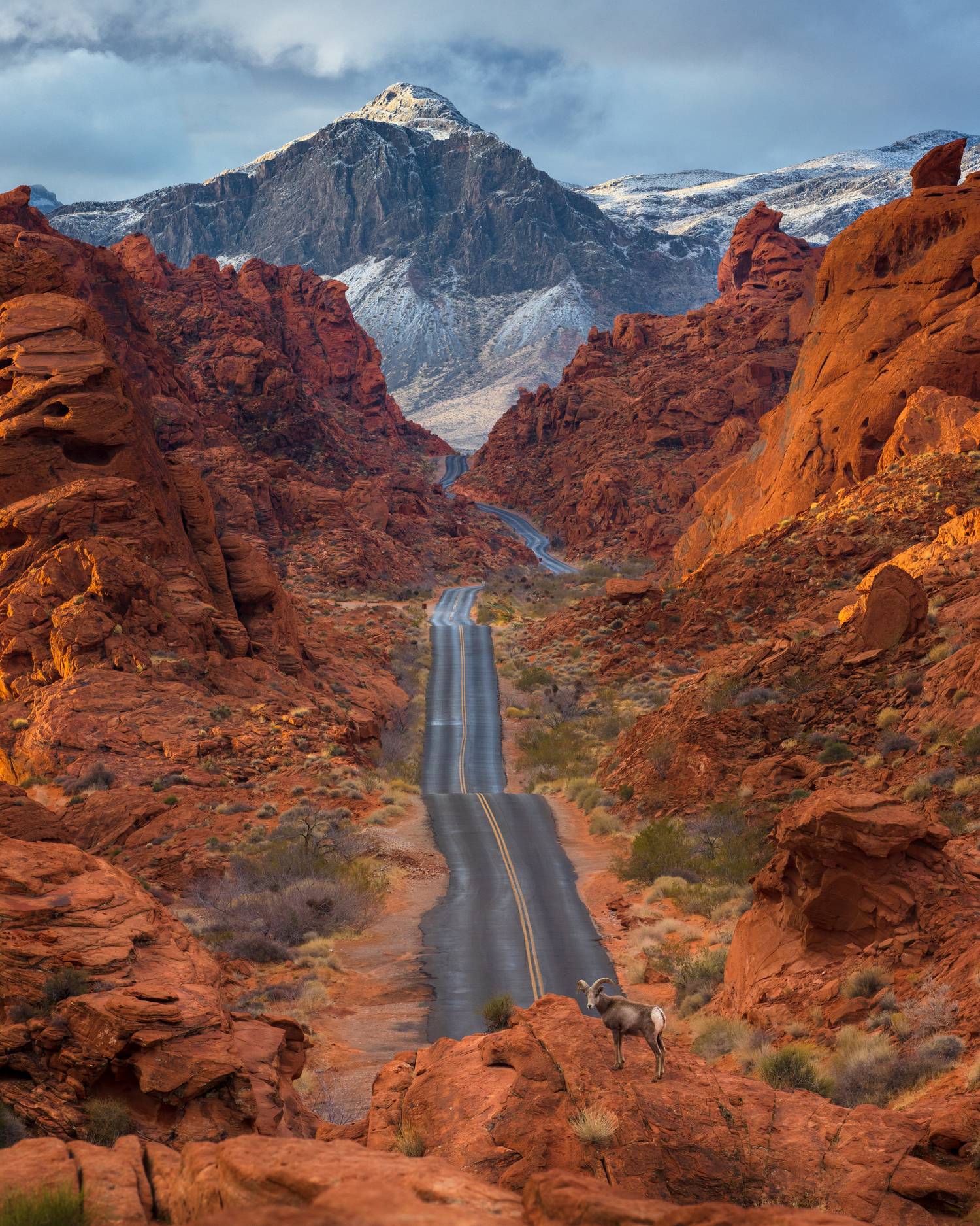 This Little-Known Nevada Desert Town Offers National Park-Like ...