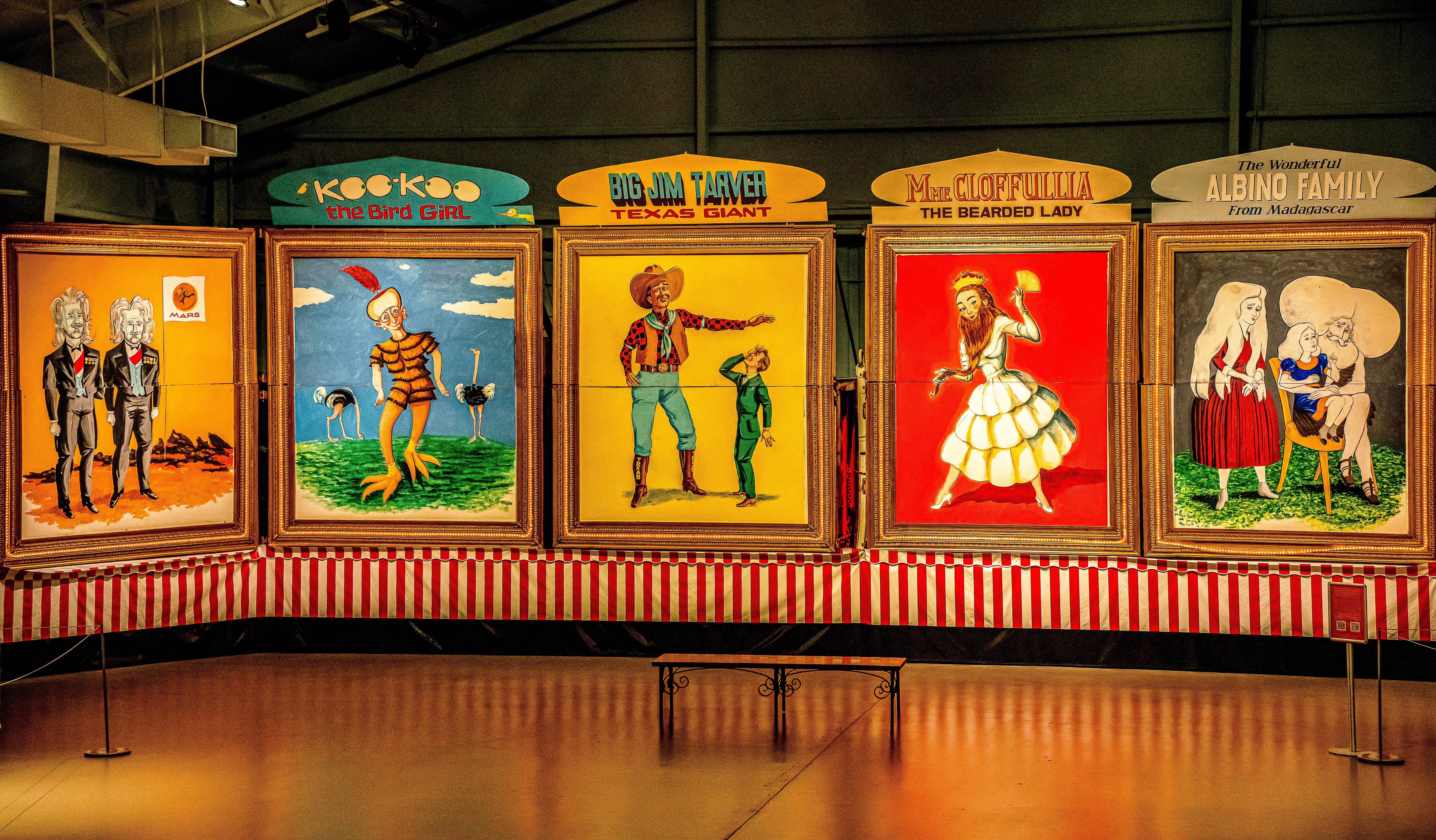 If You Dream Of Joining The Circus, 