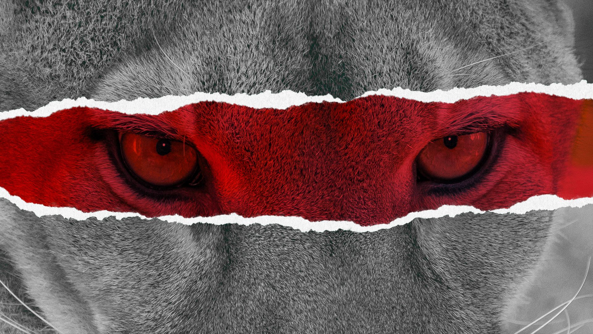 It's Not Looking Good For Florida's Rarest Animal In The Wild