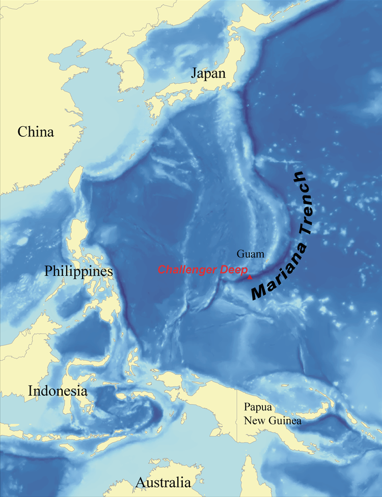 The Deepest-Ever Sub Dive Revealed The Saddest Surprise Possible