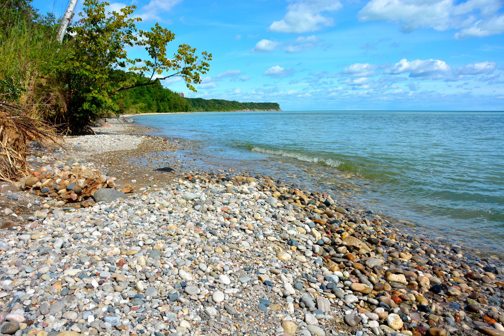 Looking out onto a calm Lake Michigan through a wooded area in Grant Park atop a bluff 