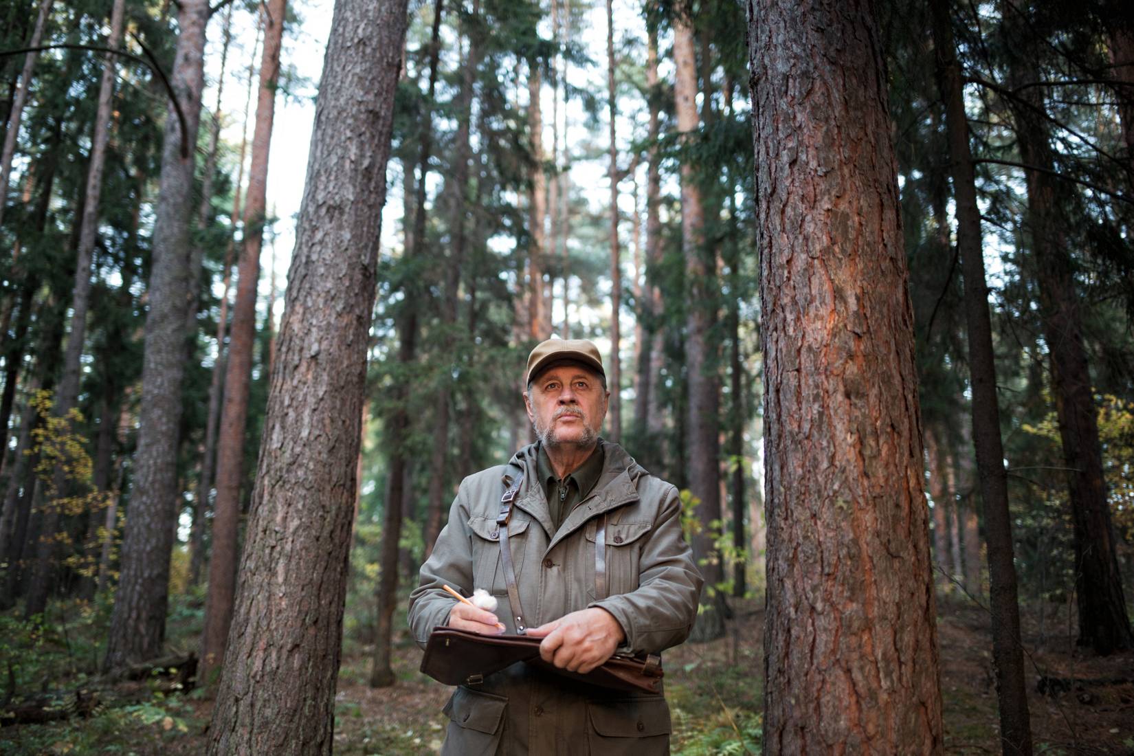 U.S. National Parks Resume Operations After The Government Shutdown ...