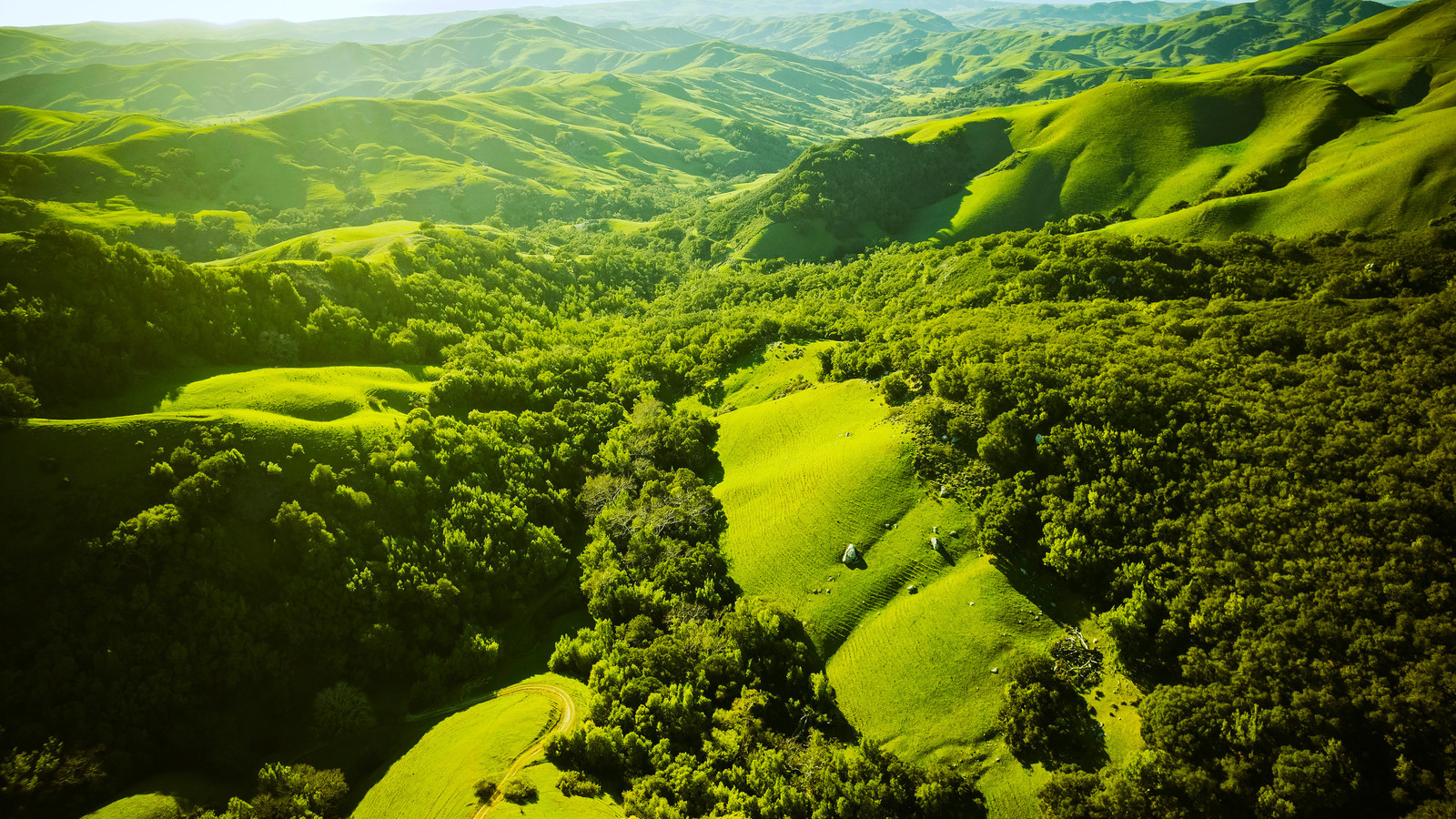 Angwin Ca Skip Napa Valley: California's Most Underrated But Scenic Wine Region ...
