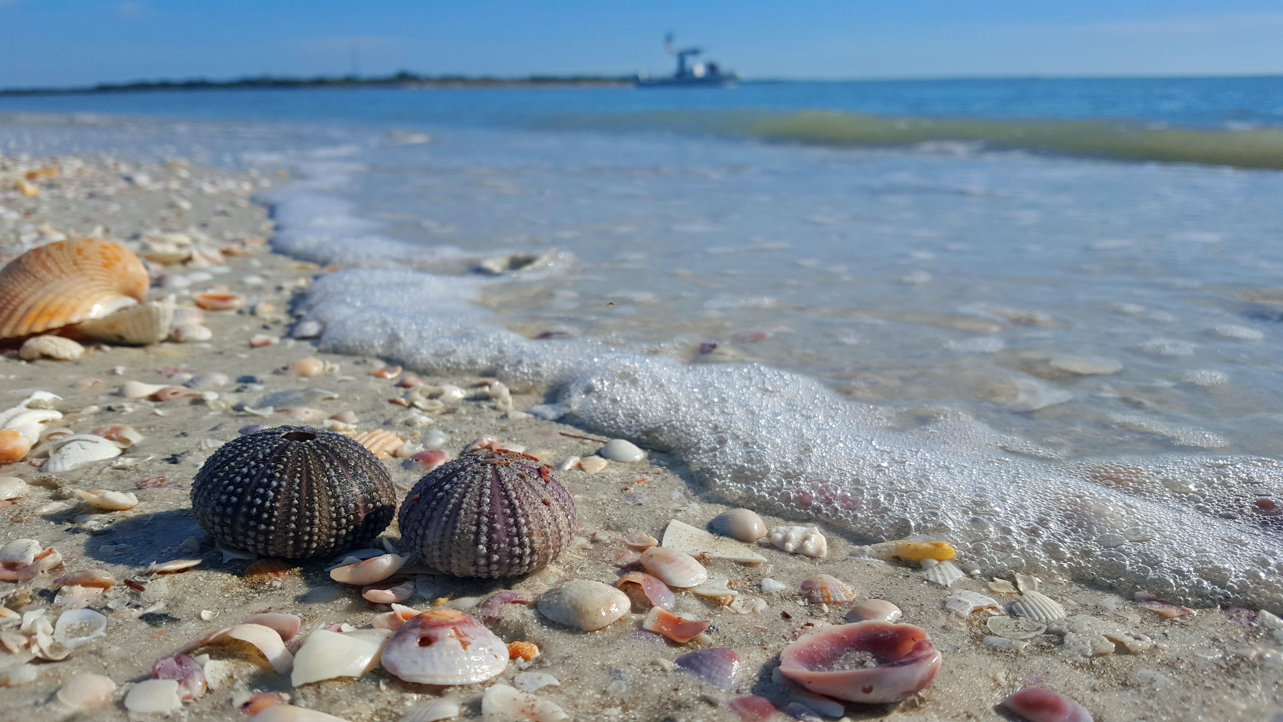Some Of Florida's Most Beautiful Gulf Coast Beaches Are Tucked In This ...