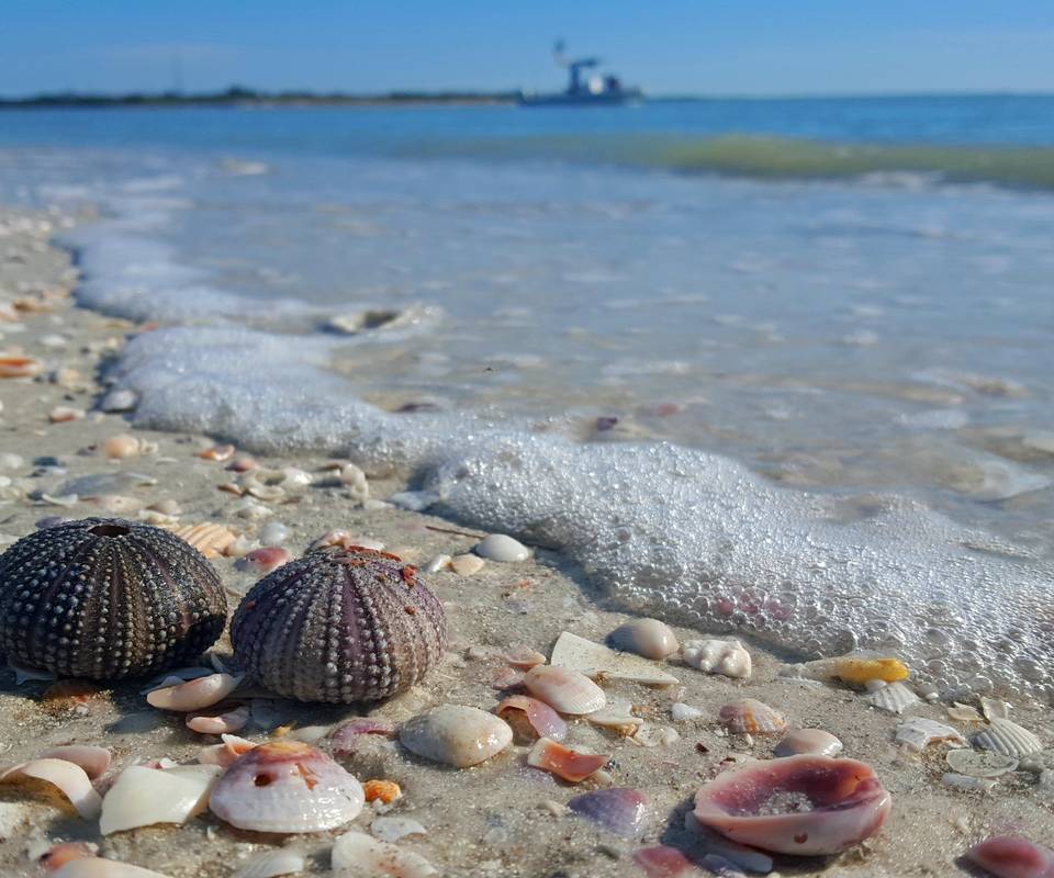 Some Of Florida's Most Beautiful Gulf Coast Beaches Are Tucked In This ...