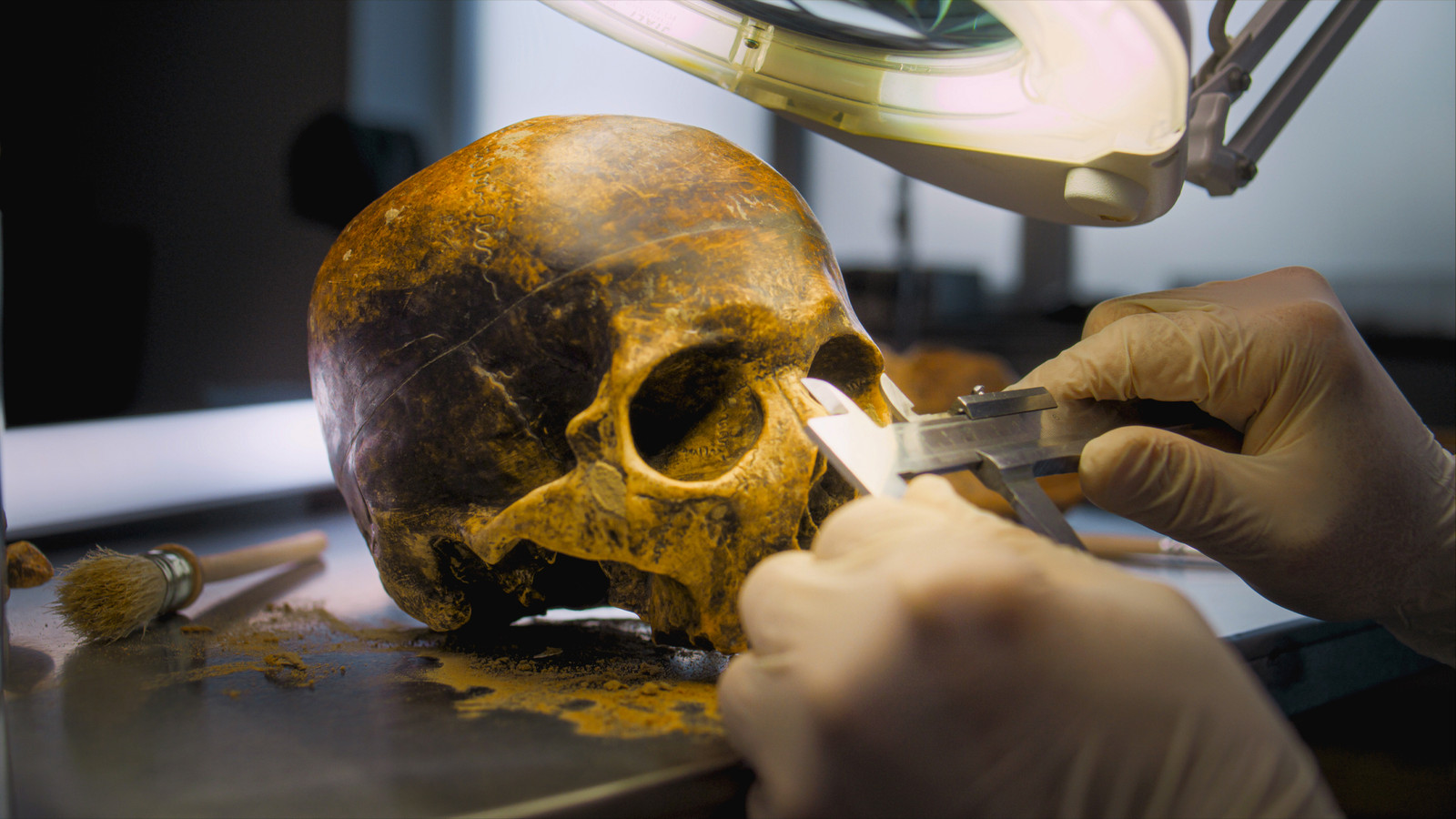 Archaeologists In Mexico Just Discovered A Skull With A Shape They Can’t Easily Explain