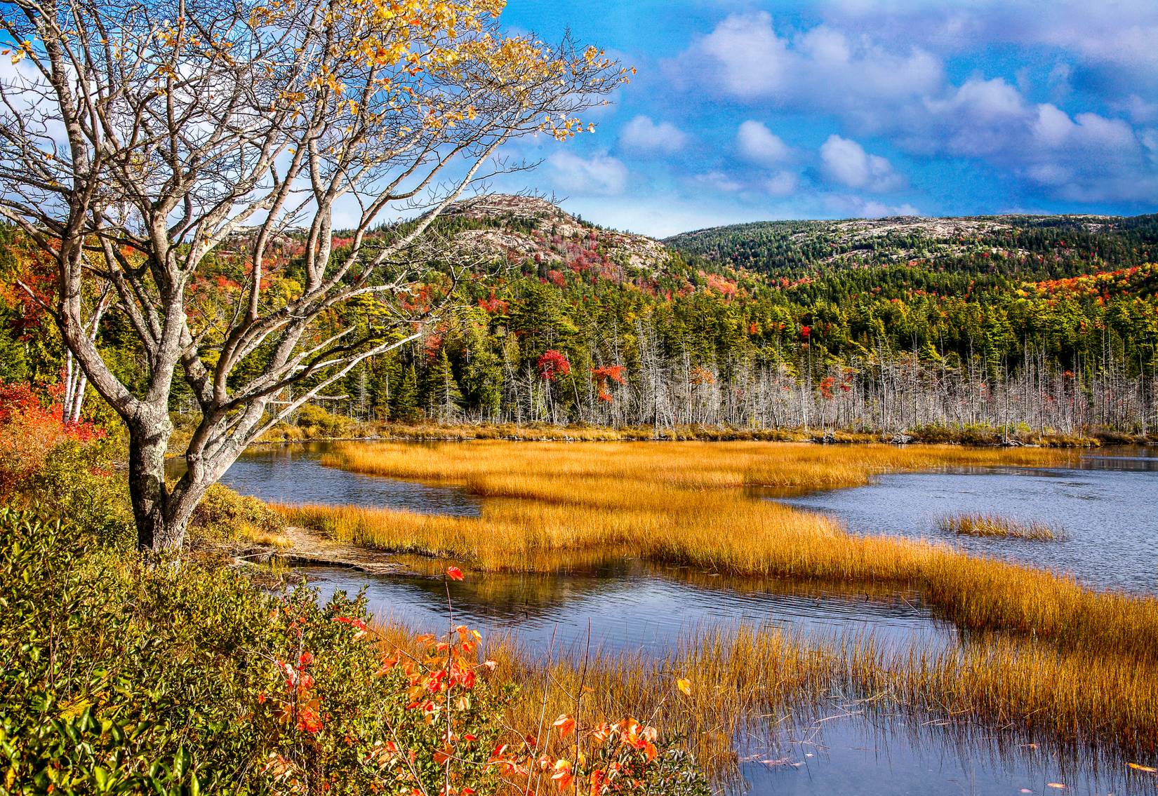 Le parc national Acadia reste ouvert, mais les experts préviennent que les conséquences pourraient se faire sentir jusqu'en 2028