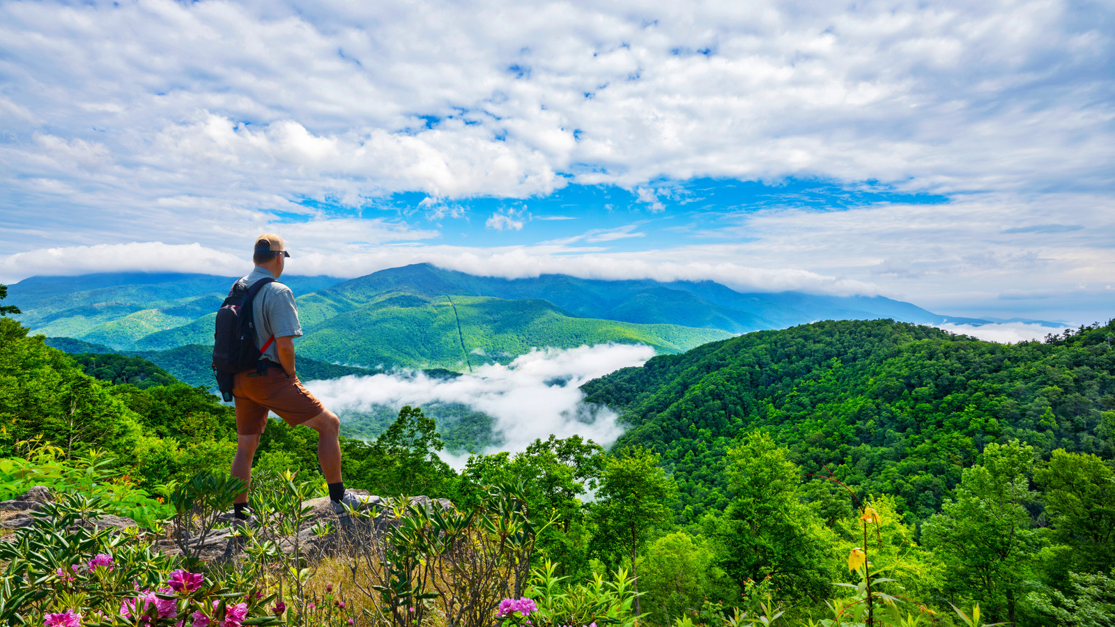 America's Most Popular National Park Isn't Actually The Great Smoky ...