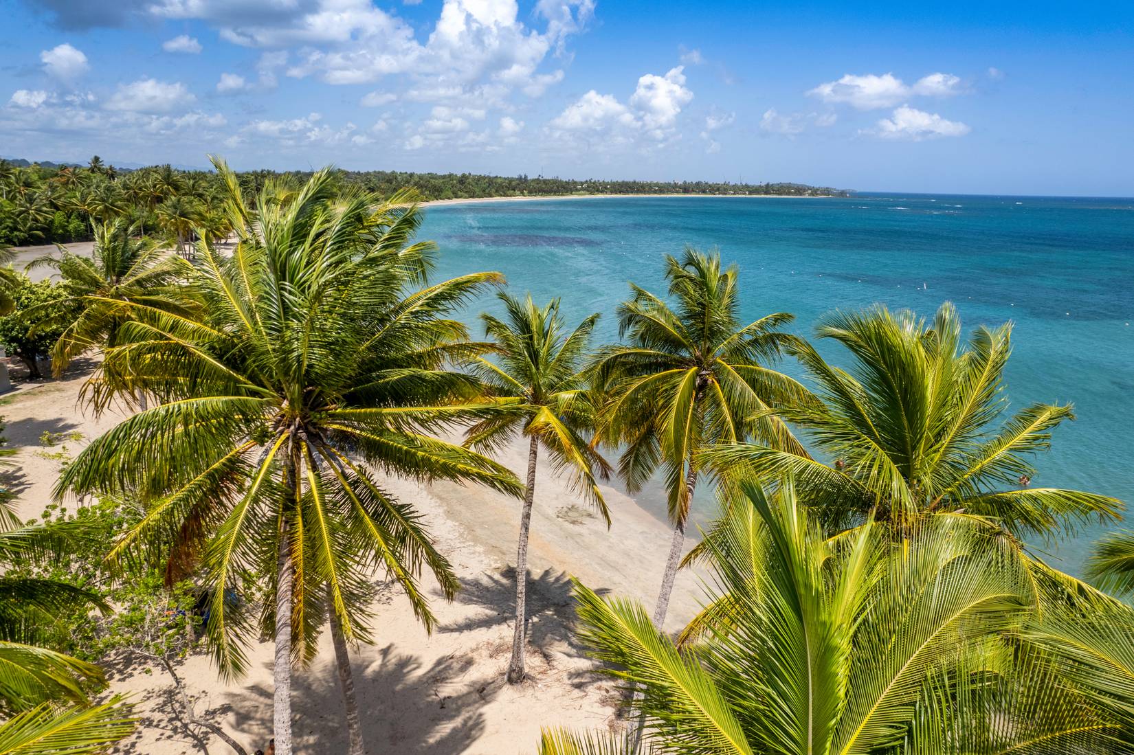 Bad Bunny's Home Is The Hot Spot For Spectacular Beaches And Pristine ...