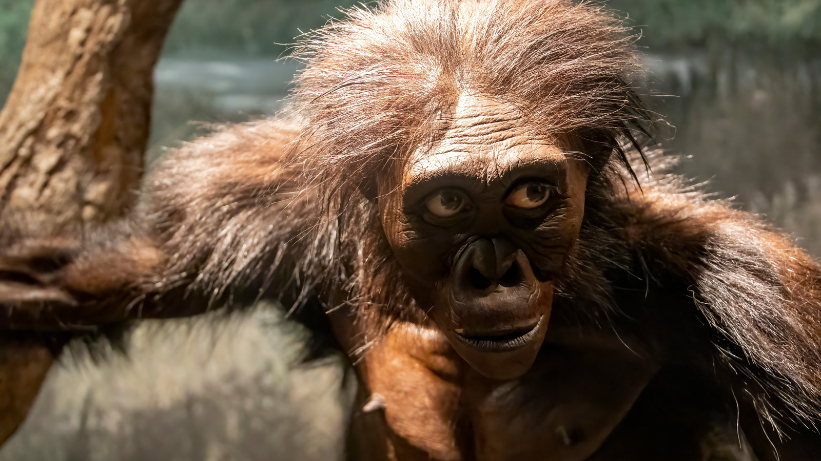 This Tiny Detail On A Bone Is Changing What We Know About Human Ancestors