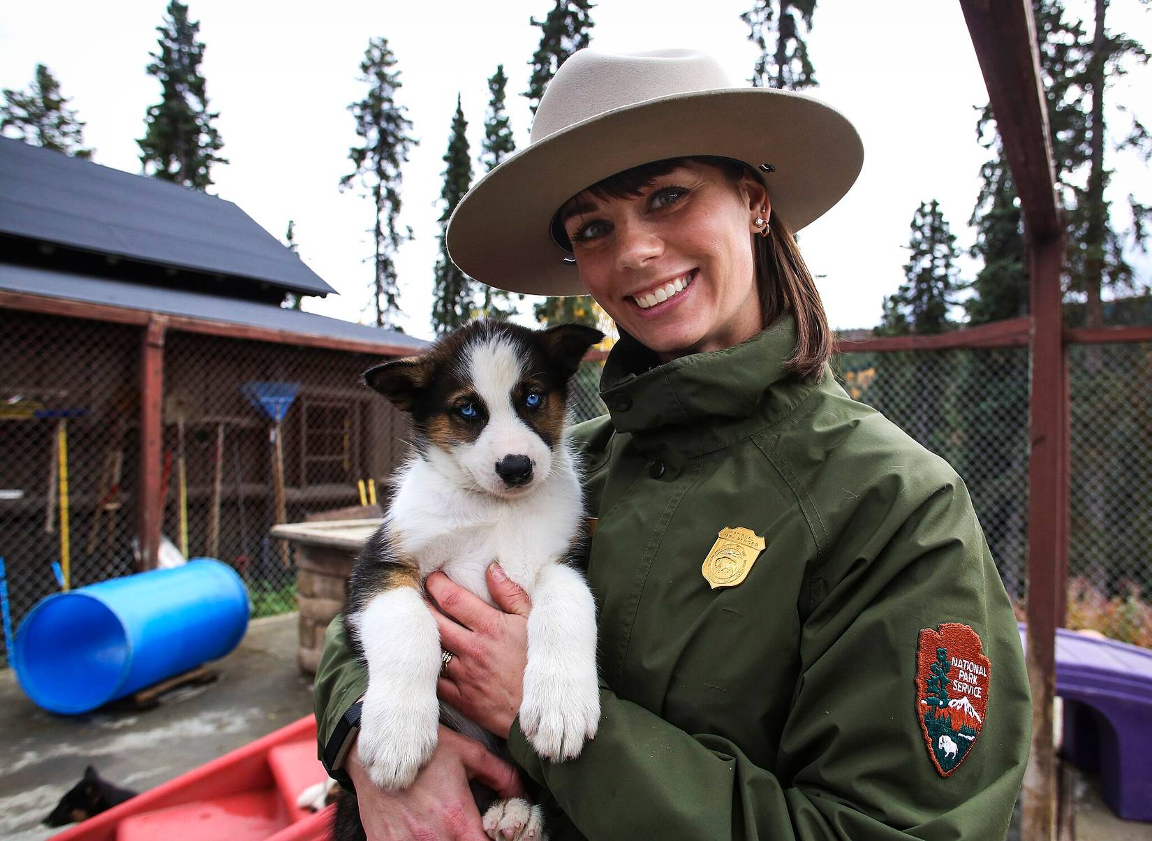 Meet Denali National Park's New Puppies: Squall, Storm, Graupel, Dew ...