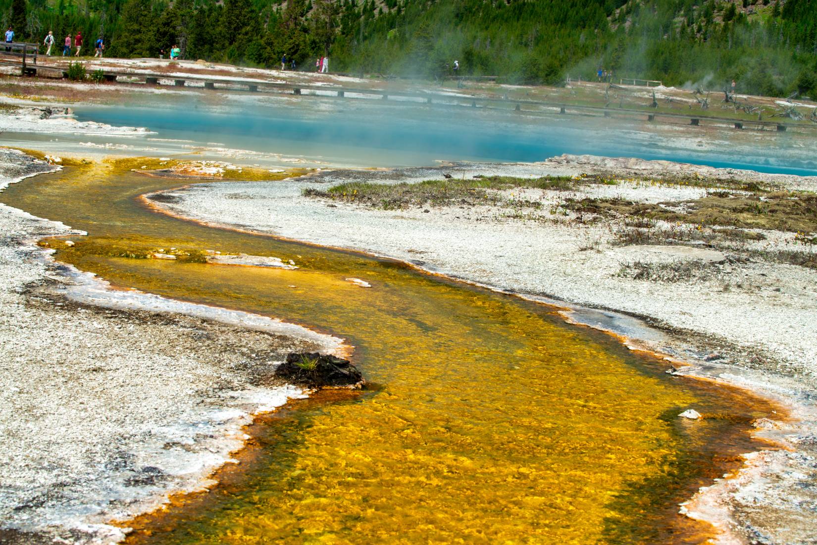 Black Diamond Pool Geysers at Yellowstone National Park. Biscuit Basin Trail, USA