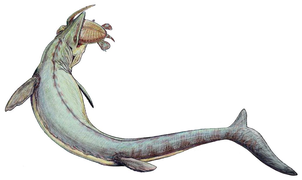 Scientists Shocked By Giant Prehistoric 