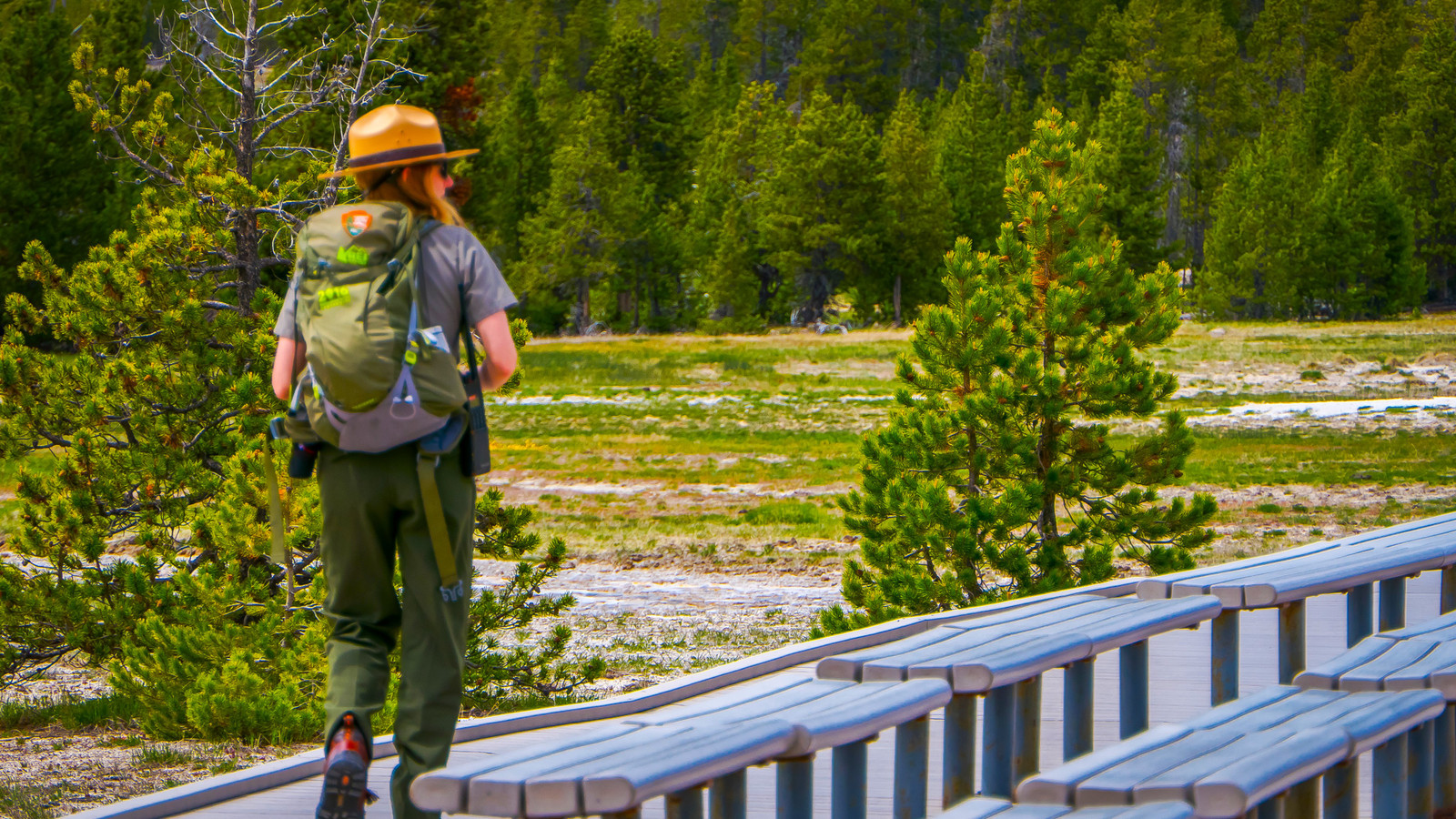 "My Career Is Over": National Park Service Is Quietly Cancelling More Staff Jobs