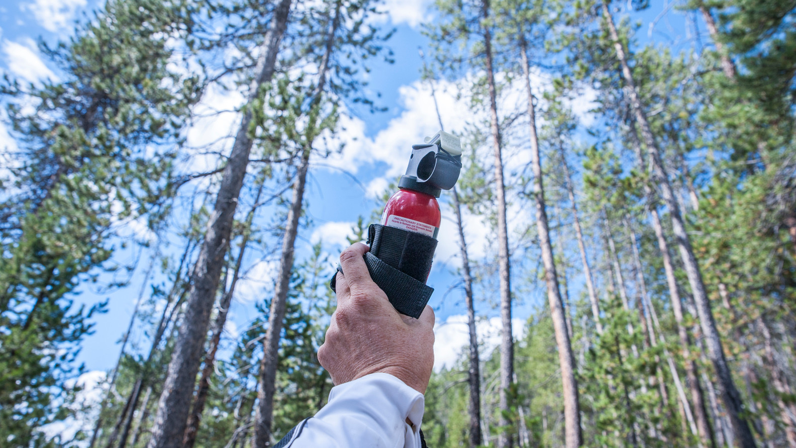 Yosemite National Park's Strict Bear Spray Ban Isn't Going Anywhere As 2026's First Bears Begin To Emerge
