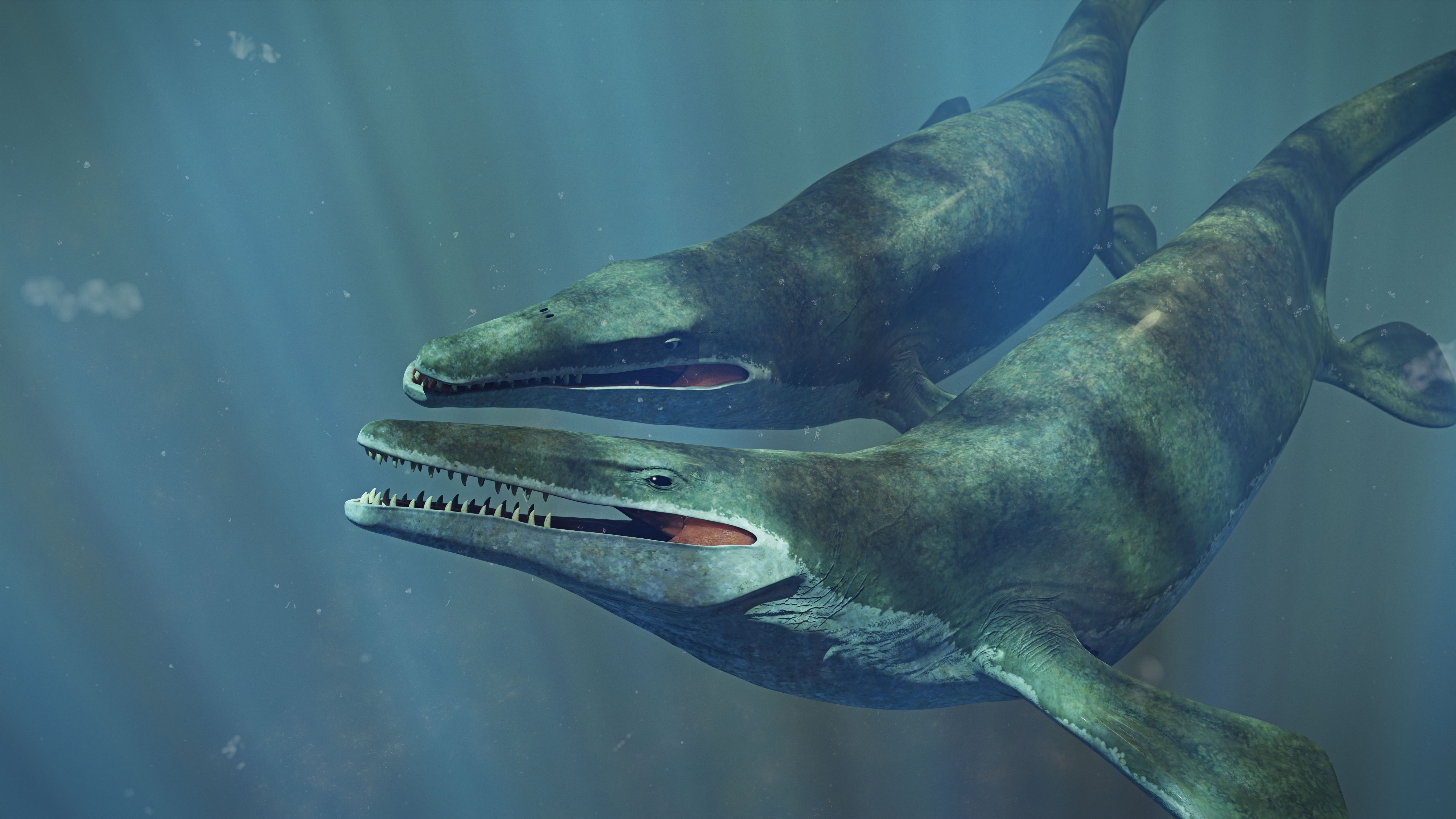 Scientists Shocked By Giant Prehistoric 
