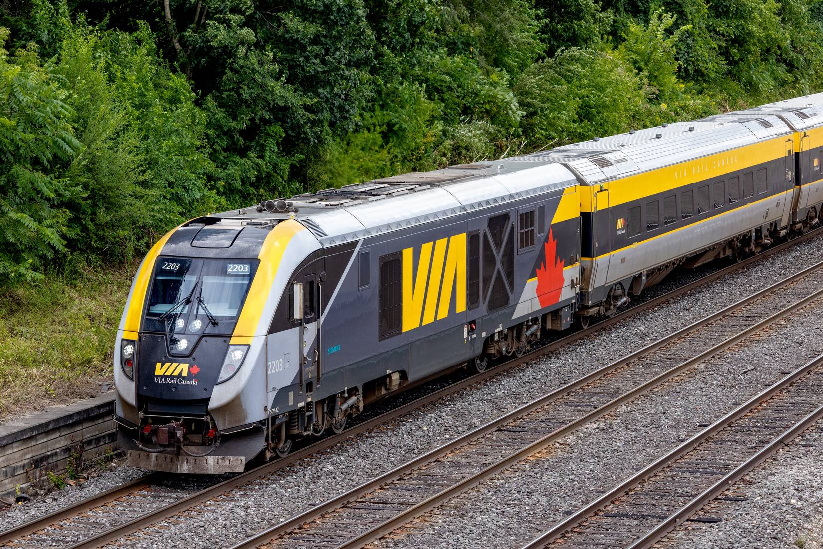 Amtrak Passengers Are Desperate For the Return Of This U S Canada Amtrak Passengers Are Desperate For the Return Of This U S Canada