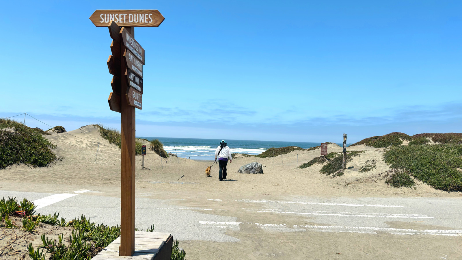 Why San Francisco's Newest Park Has Locals Furious