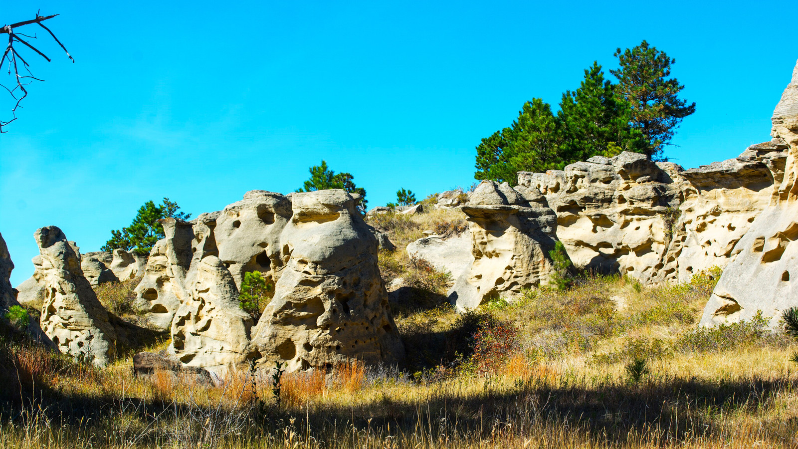 Montana's Most Underrated State Park Is Better Than Glacier National Park