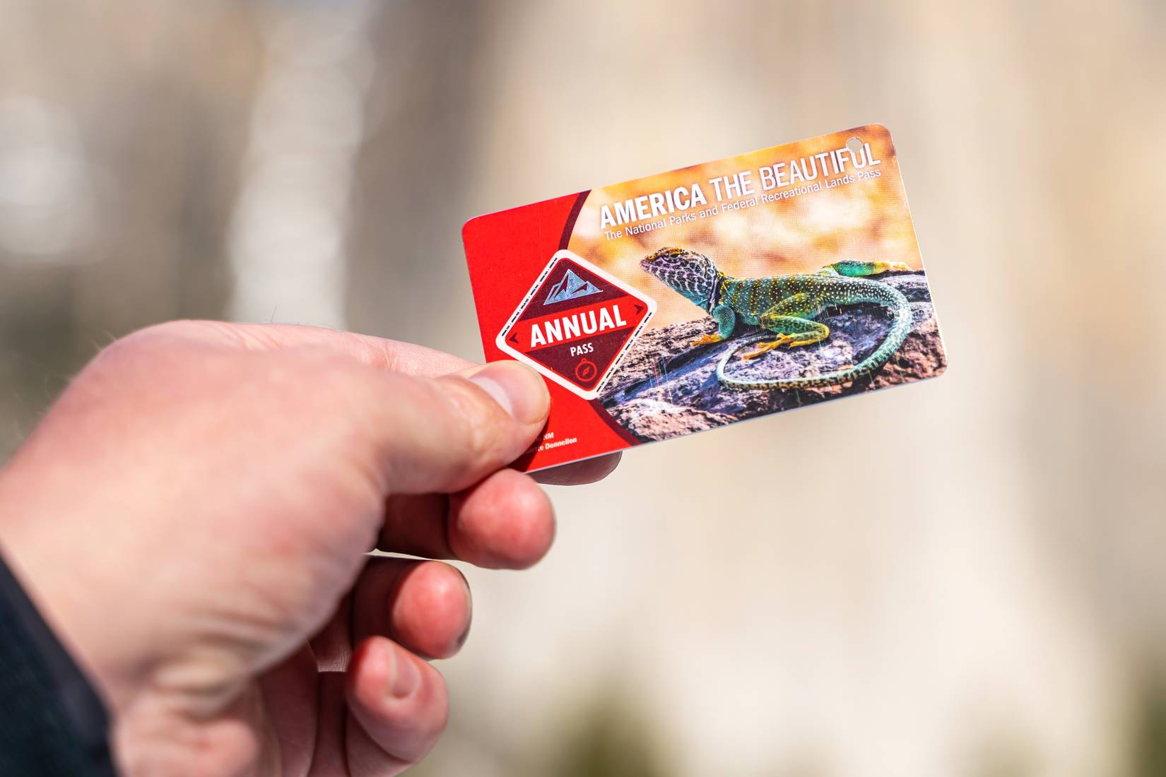 View of a person holding an annual "America the Beautiful" National Park Pass, Yosemite Valley, California, CA, USA