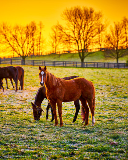 Kentucky - History | TheTravel