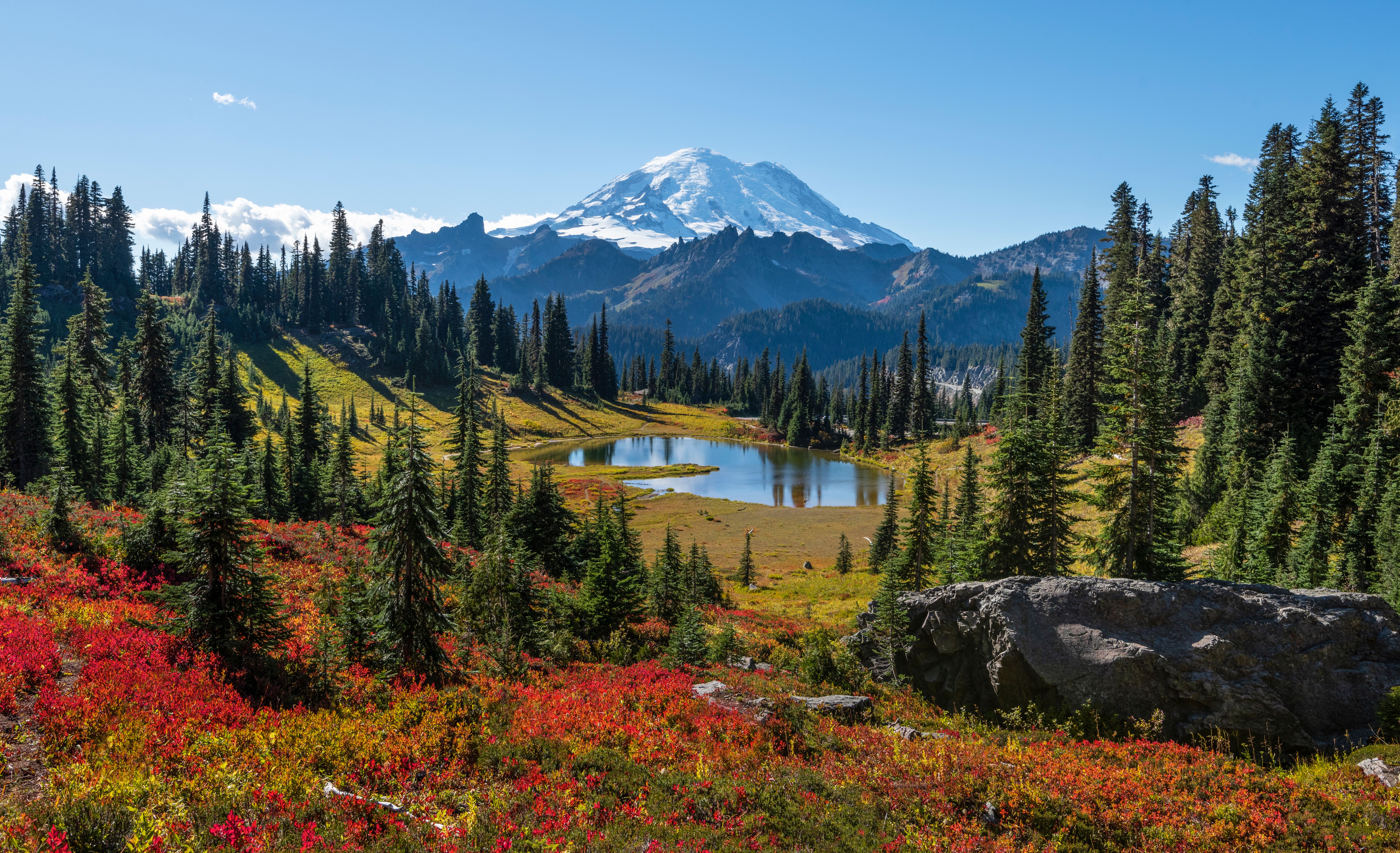The Hidden View Of Mt. Rainier Only 1% Of National Park Visitors