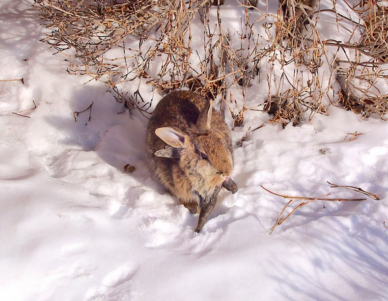 Colorado Parks Officials Reassure Visitors They Have Nothing To Worry ...