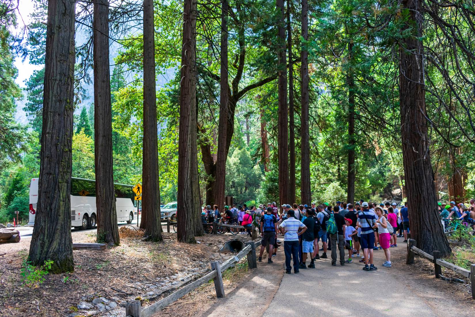 A crowd of tourists in the Yosemite Valley during peak season, Yosemite National Park, California, USA