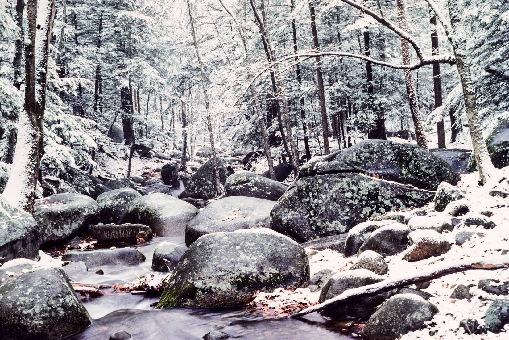 Brokenback Run in winter, Shenandoah National Park, Virginia, USA