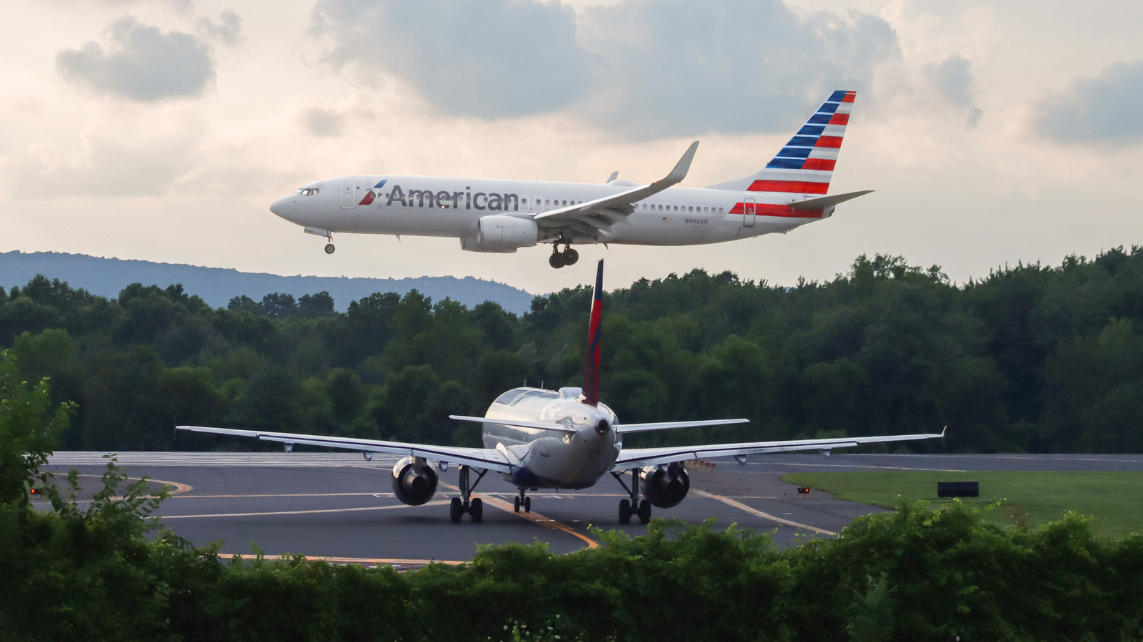 Florida Airport Alligator Incident Delays Delta And American Airlines ...
