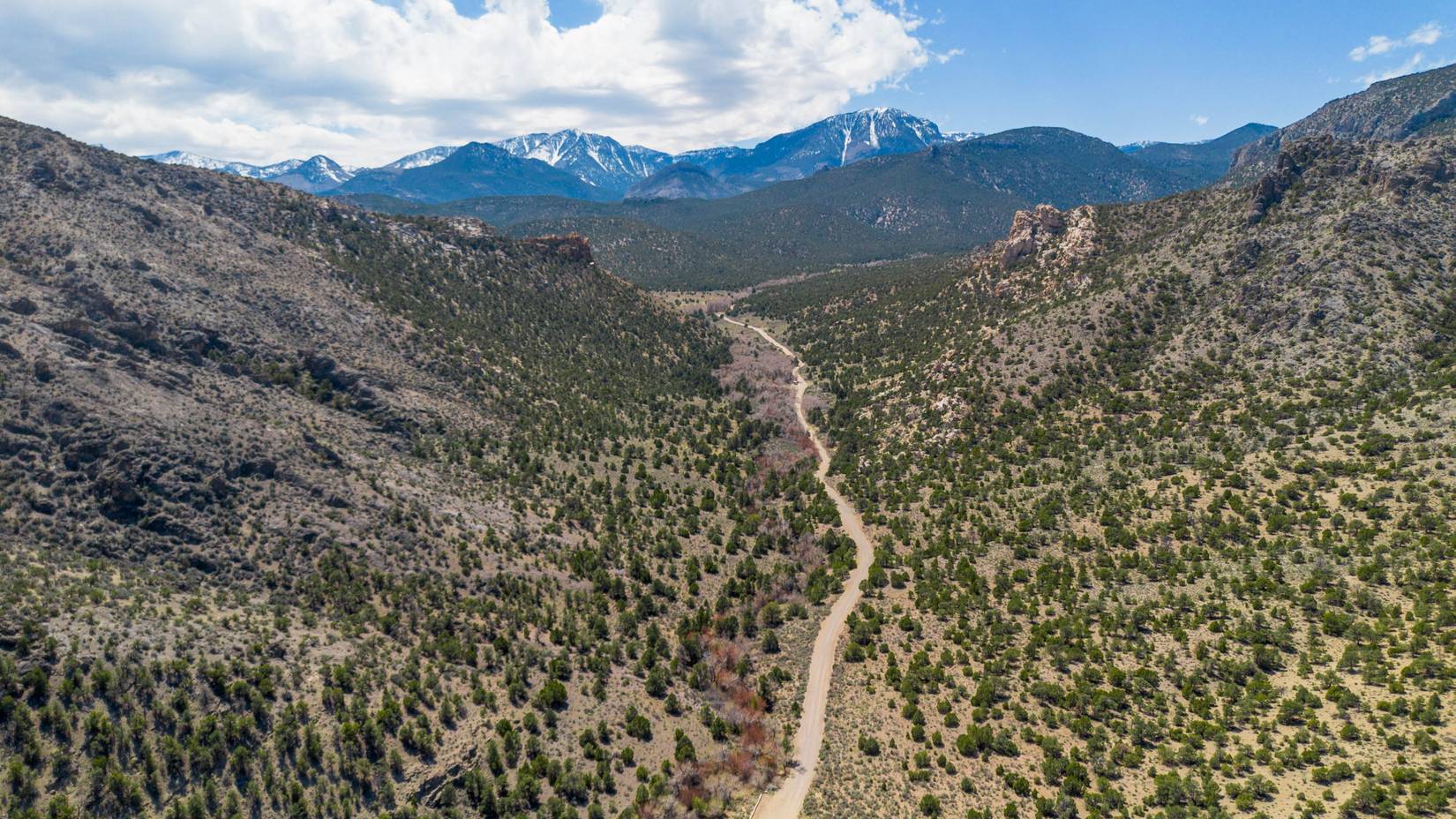 Snake View Creek Creek Creek Basin Park in Nevada