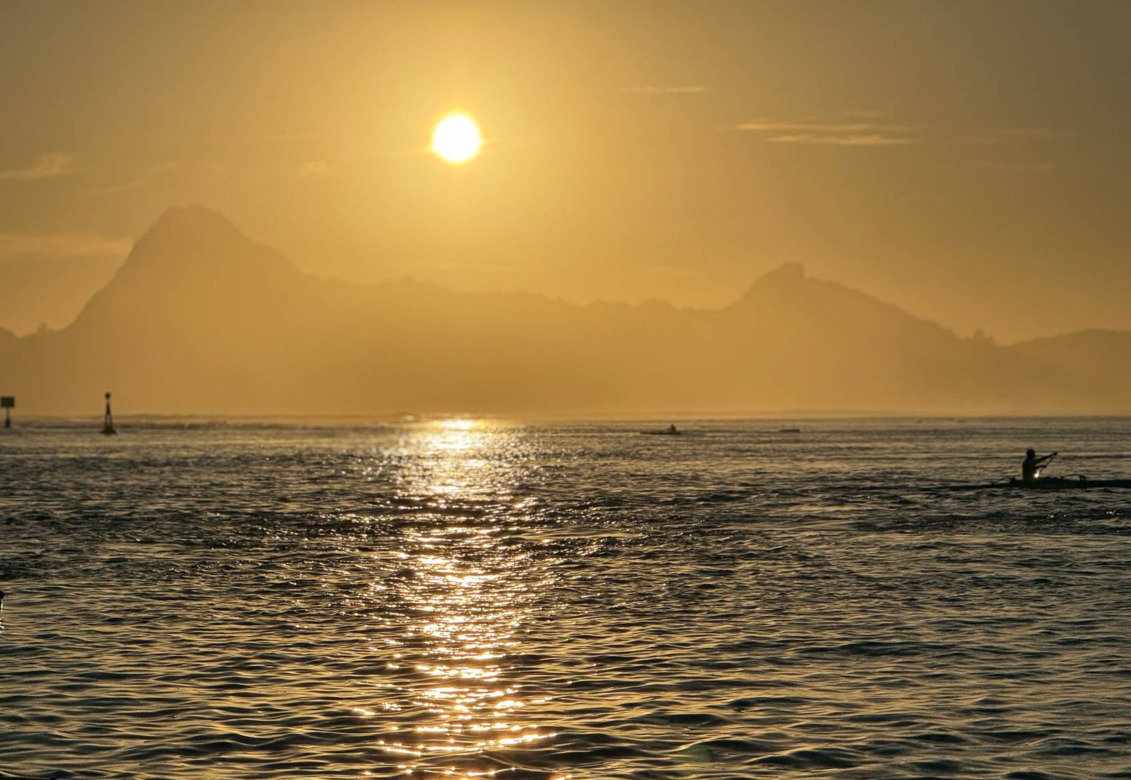French Polynesia: A Diver's Paradise Beyond Overwater Bungalows