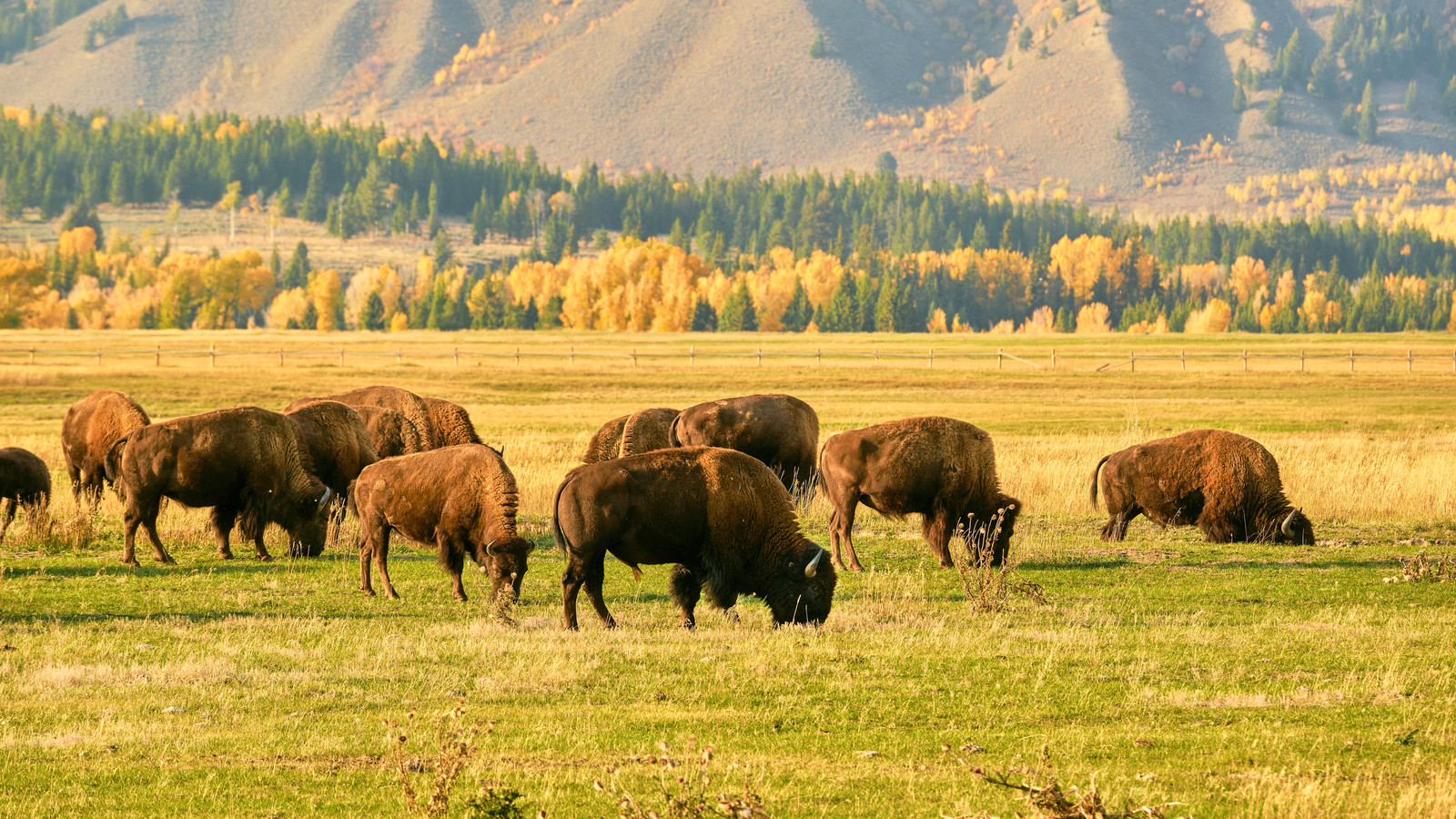 U.S. National Park Visitors Are Ready To Pay Higher Entry Fees For One Reason, And It’s Not To Help Employees
