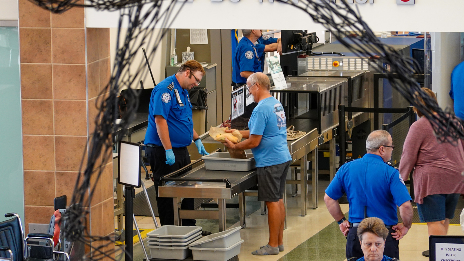 TSA's Response To Passenger's "Emotional Support Rotisserie Chicken" Incident Confirms Its Most Bizarre Rule