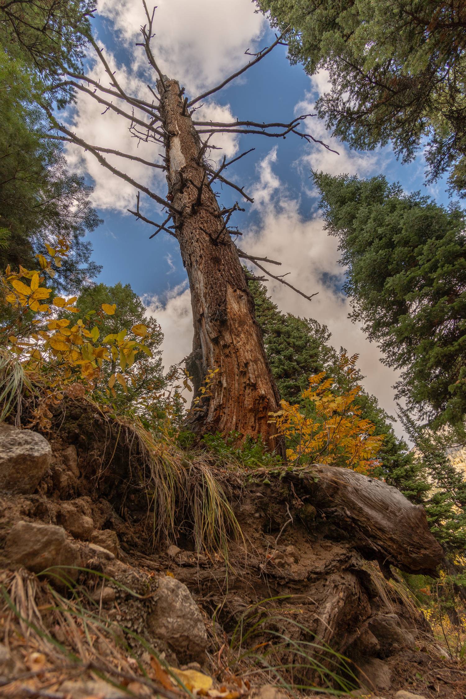 Hiking Garnet Canyon Trail Hike The Grand Tetons National Park in Wyoming