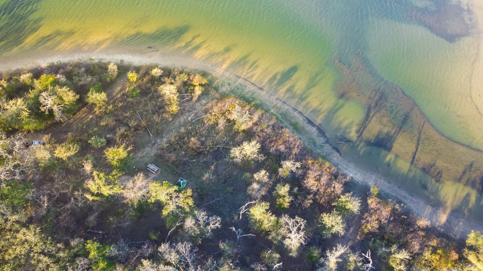 Curved shoreline and remote waterfront primitive camping sites with tents at Isle du Bois Ray Roberts Lake State Park