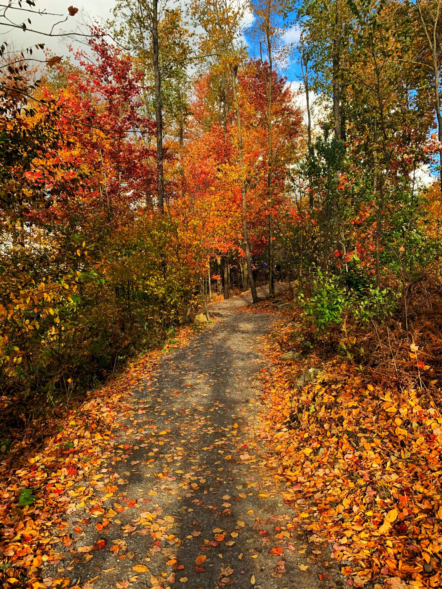 A Hidden Fall Foliage Viewpoint Just Reopened—But Only For A Limited Time