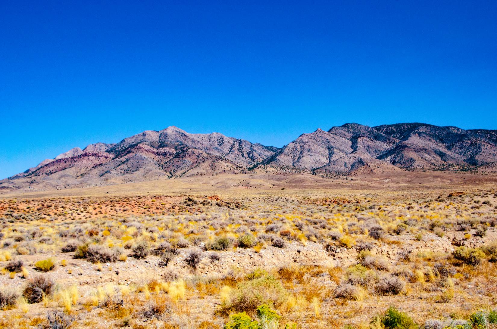 Basin and Range National Monument, Nevada