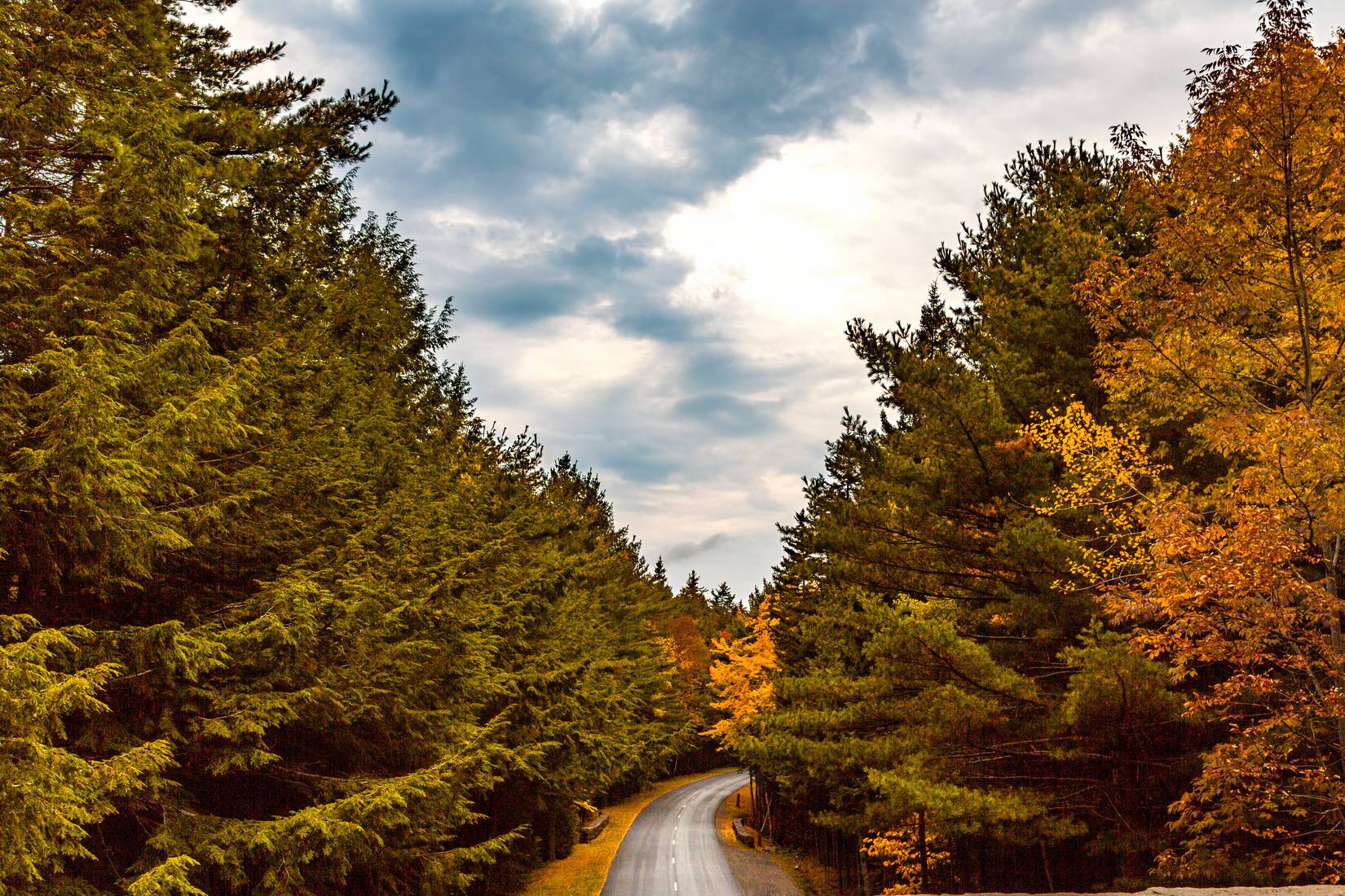 Acadia Park Loop Road