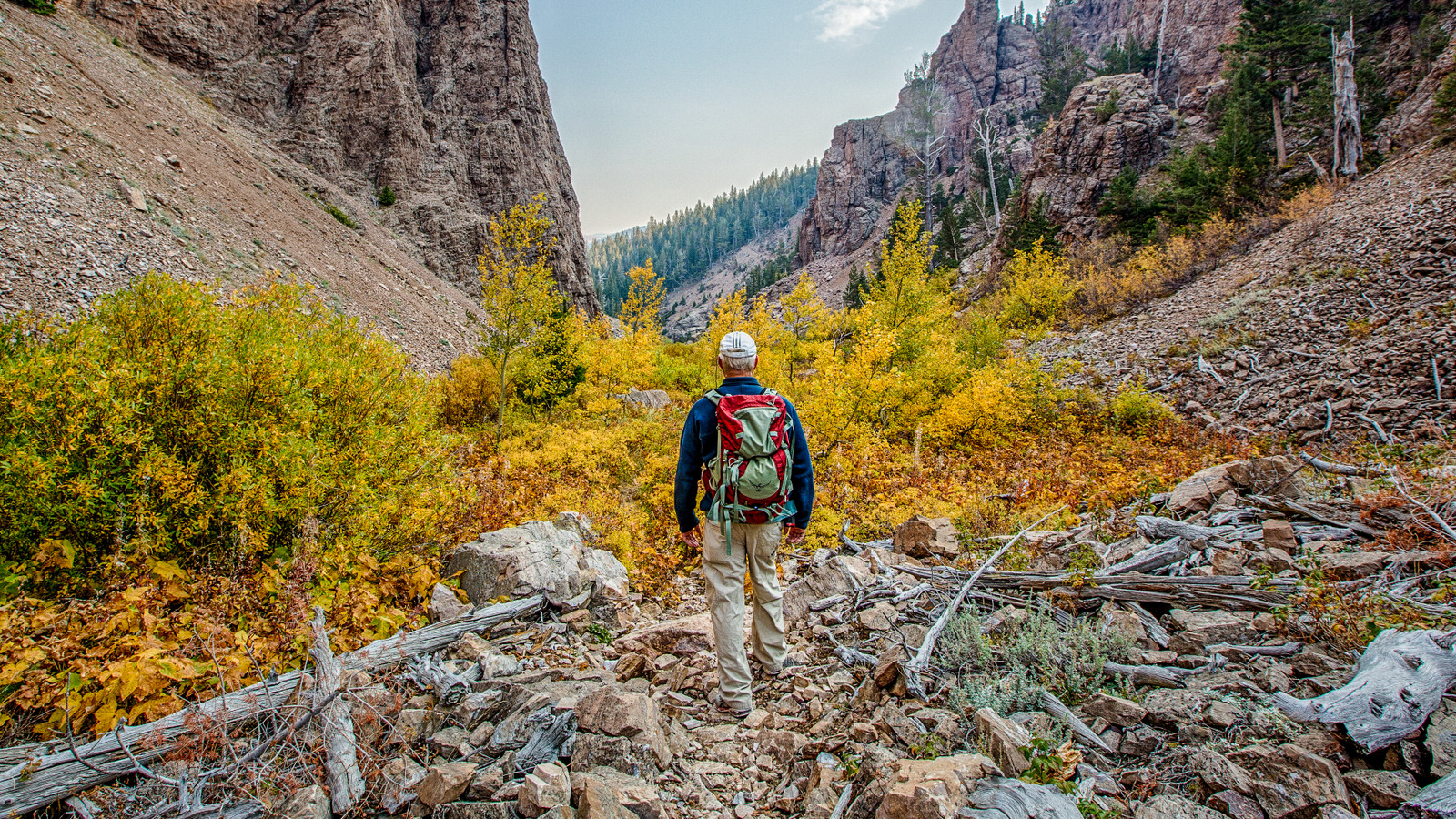 U.S. Forest Service Forced To Provide "Poor Customer Service" And “Abandon" Trails