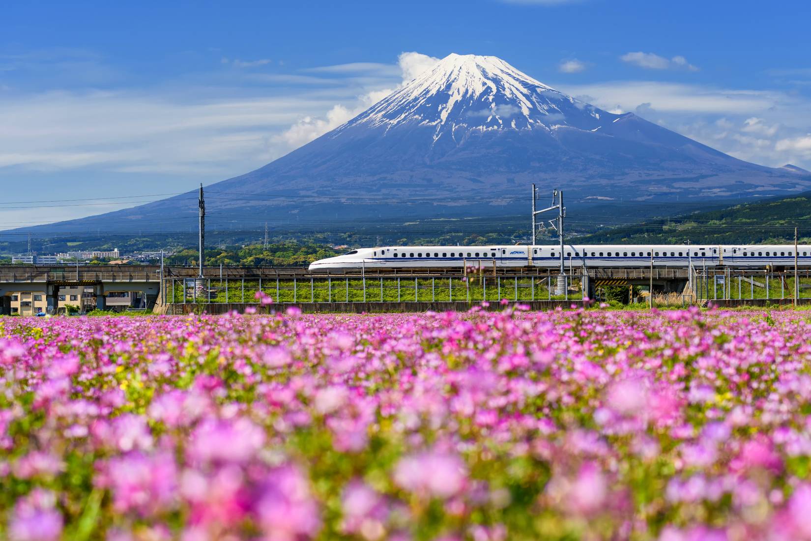 Japan Shinkansen Mt Fuji