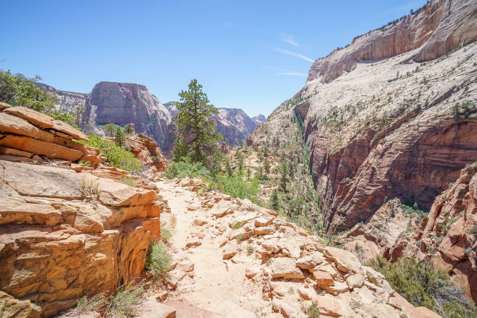 West Rim Trail, Zion National Park, Utah