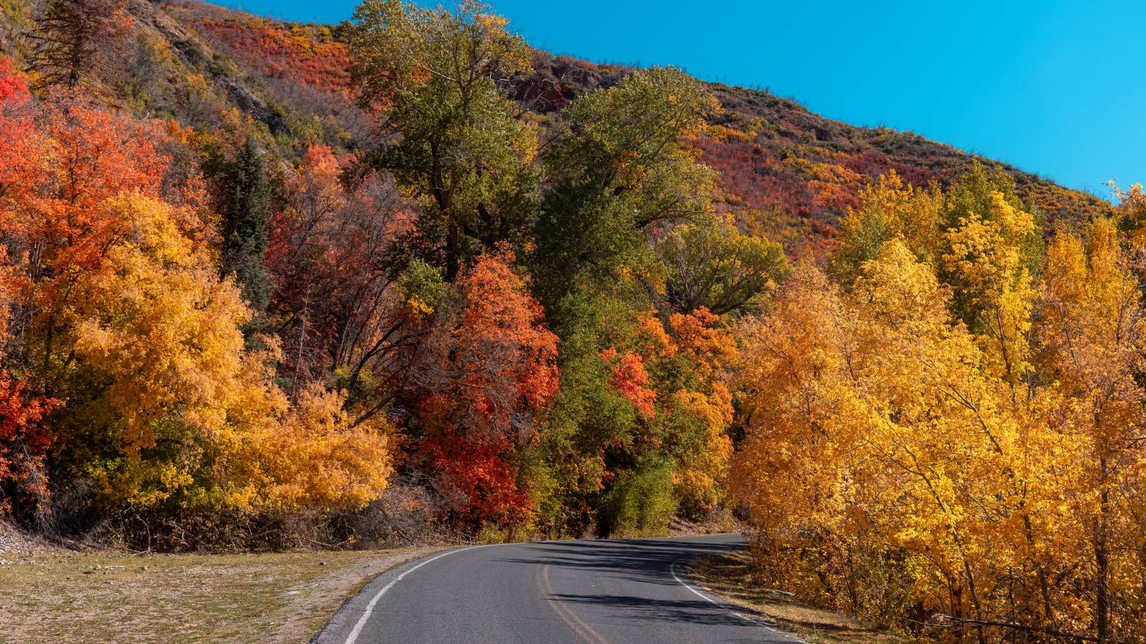 A view of the scenic Mount Nebo loop in Utah surrounded with colorful fall foliage, UT, USA.