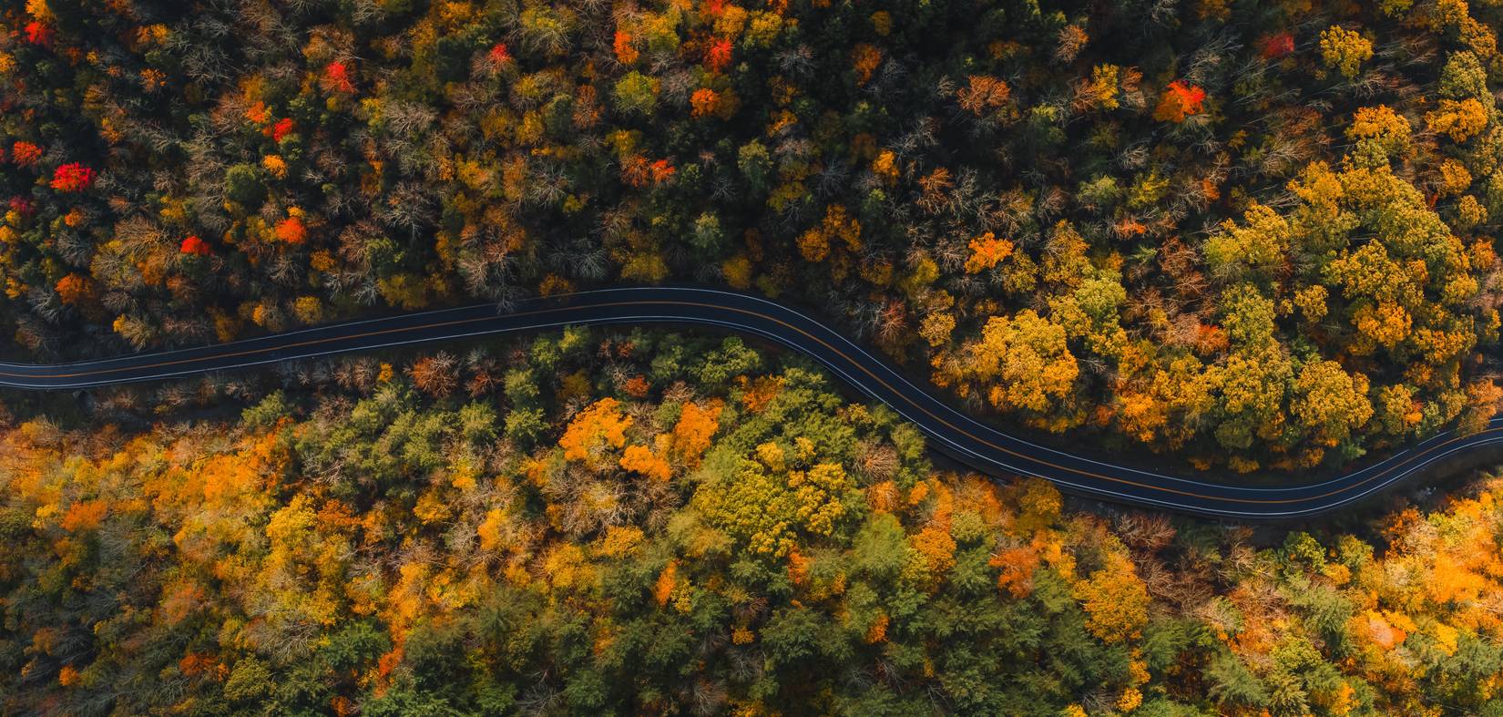 A view of colorful Fall foliage, Catskills Scenic Byway, New York, NY, USA.