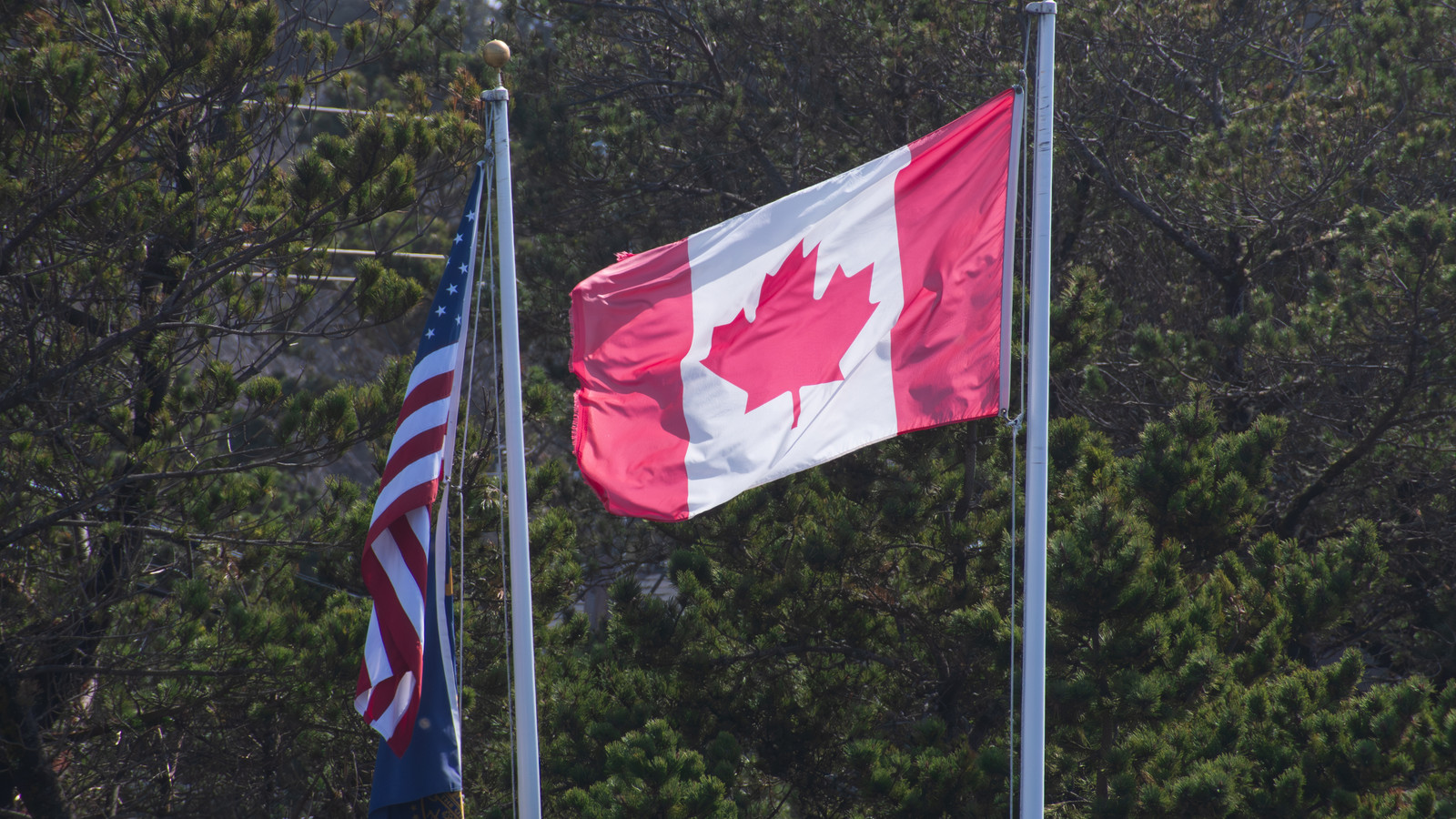 Canadian Snowbirds Left Speechless After U.S. Customs And Border Protection Cites "Standard Procedures" Over New $60 Charge
