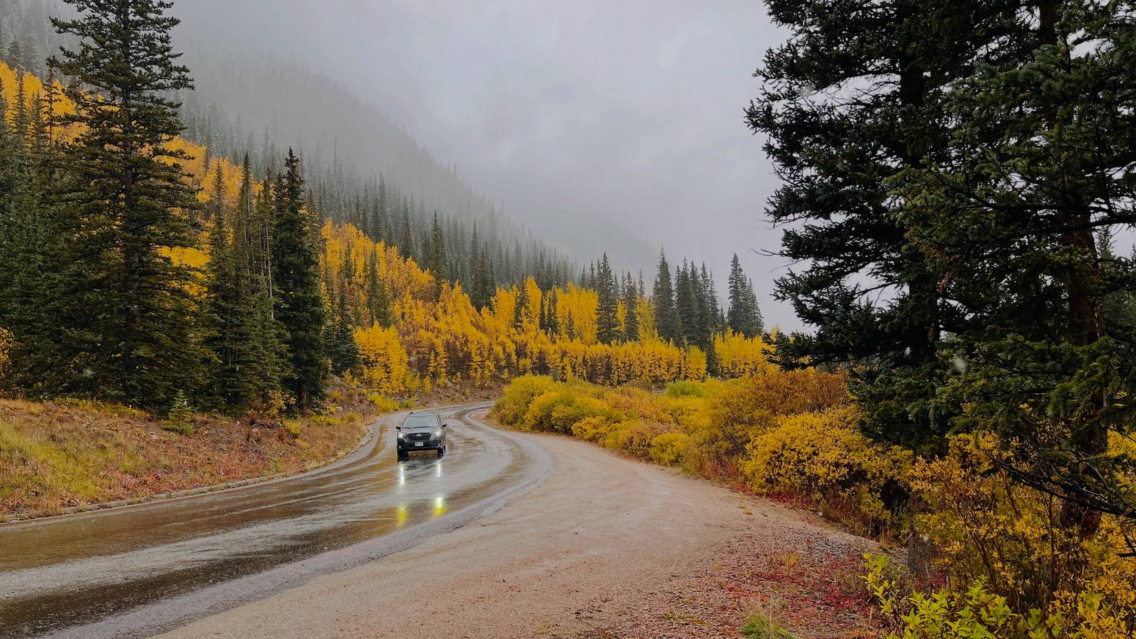 A view of fall color at Guanella Pass in Colorado after the rain, CO, USA.