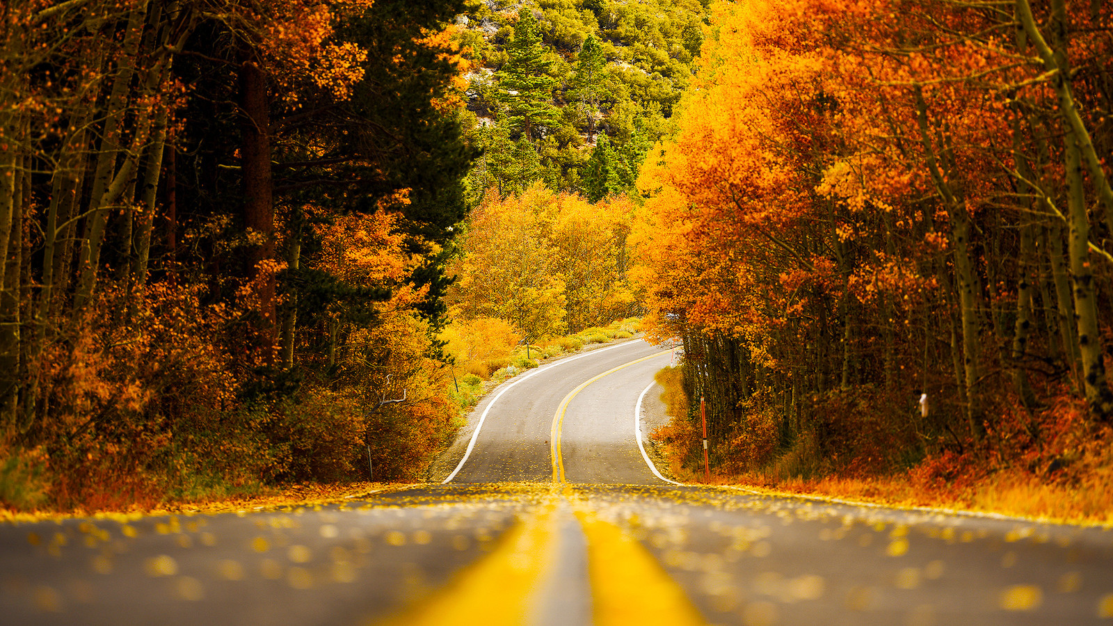 The "Switzerland Of California" Is One Of America's Most Beautiful Mountain Towns For Fall Foliage