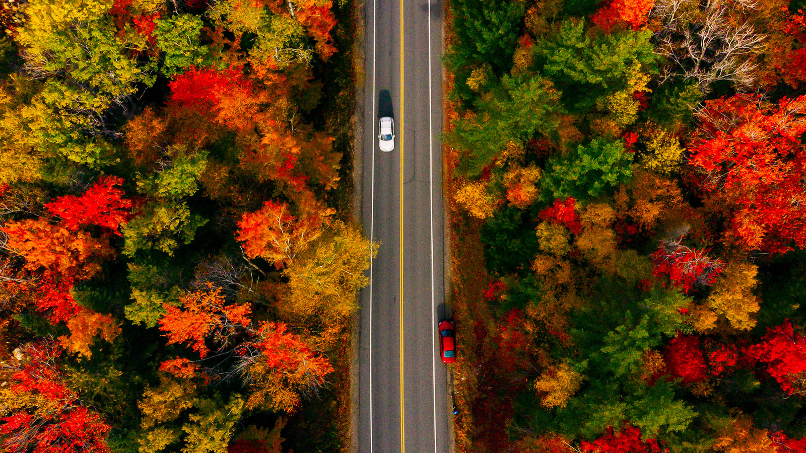 These Scenic Fall Drives Are Better Than The Blue Ridge Parkway