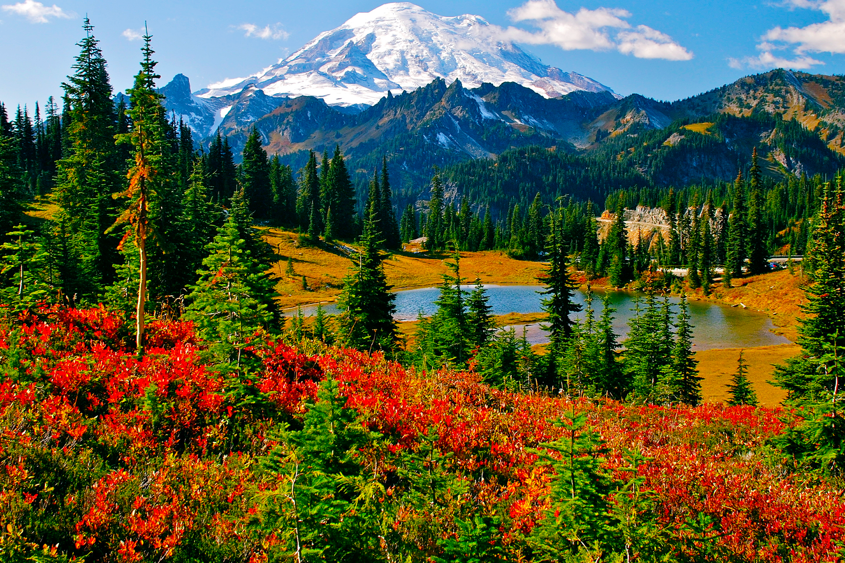 Mount Rainier National Park Washington